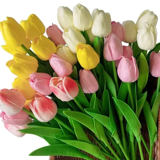 100+ ảnh hoa tulip đẹp rực rỡ · ảnh 2