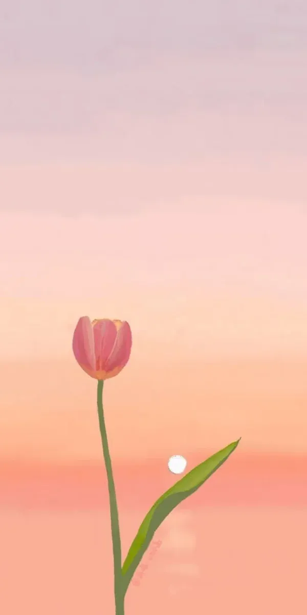 100+ ảnh hoa tulip đẹp rực rỡ · ảnh 3